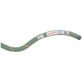 Cuerda simple 9.9 CRAG WORKHORSE DRY STANDARD