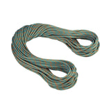 Cuerda simple 9.9 CRAG WORKHORSE DRY STANDARD