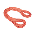 Cuerda simple 9.8 CRAG CLASSIC Standard
